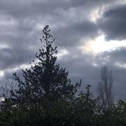 Mours-Saint-Eusèbe 31/01/2026