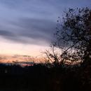 Mours-Saint-Eusèbe 31/01/2026