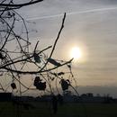 Romans-sur-Isère 31/01/2026