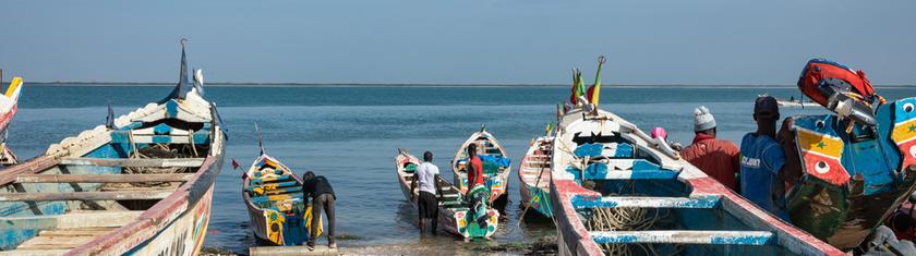 Sénégal côtier : de Saint-Louis au delta du Saloum, la côte vue depuis l’Atlantique