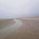 Plage du Perroquet 02/02/2026