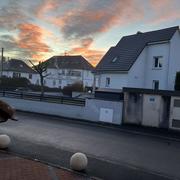 Plobsheim 03/02/2026