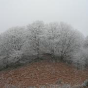 Saint-Just-Ibarre 11/11/2010