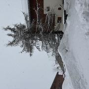 Les Saisies 06/02/2026