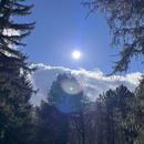 El Puente de Sardas 06/02/2026