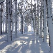 Les Landes-Genusson 06/02/2026