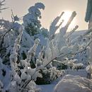 La Jarrie 09/02/2026