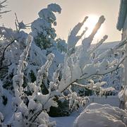 La Jarrie 09/02/2026