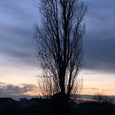 Mours-Saint-Eusèbe 18/02/2026