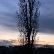 Mours-Saint-Eusèbe 18/02/2026