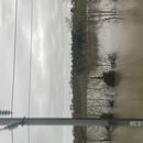 Saint-Germain-des-Prés 20/02/2026