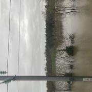 Saint-Germain-des-Prés 20/02/2026