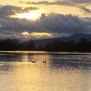 Kogenheim 21/02/2026