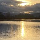 Kogenheim 21/02/2026