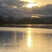 Kogenheim 21/02/2026