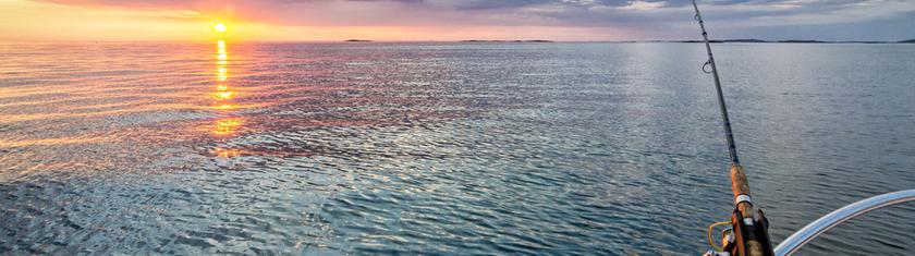 Tenya, Madai, Inchiku : 3 techniques japonaises redoutables pour la pêche en mer