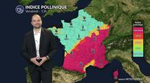 Bulletin pollens et allergies : risque élevé ce vendredi dans de nombreuses régions