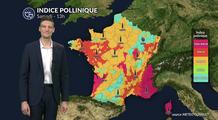 Bulletin pollens et allergies : risque élevé ce samedi dans le sud-est