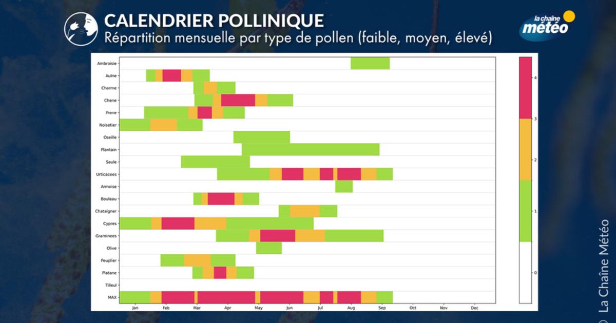 Calendrier pollinique en France : quand les allergies frappent-elles le ...