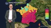 Bulletin pollens et allergies : douceur printanière et cyprès sous surveillance dimanche 1er mars