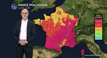 Bulletin pollens et allergies ce lundi 2 mars : soleil pritanier et cyprès sous surveillance