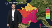 Bulletin pollens et allergies mardi 3 mars : explosion des pollens sous un soleil printanier