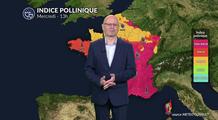 Bulletin pollens et allergies mercredi 4 juin : mauvaise qualité de l'air