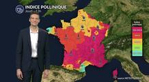 Bulletin pollens et allergies du jeudi 5 mars : le risque pollinique augmente avec une douceur printanière