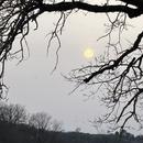 Labastide-Dénat 04/03/2026