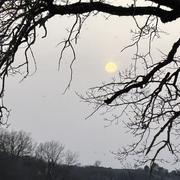 Labastide-Dénat 04/03/2026