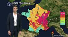 Bulletin pollens et allergies du vendredi 6 mars : un risque pollinique élevé dans l'est, en diminution dans l'ouest