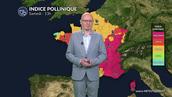 Pollens et allergies : qualité de l'air dégradée ce samedi 7  mars 2026