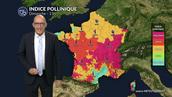 Pollens et allergies : qualité de l'air dégradée ce dimanche 8 mars