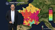 Pollens et allergies : qualité de l'air dégradée ce dimanche 8 mars