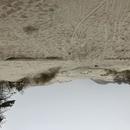 Westenschouwen 07/03/2026