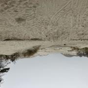 Westenschouwen 07/03/2026