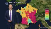 Pollens et allergies : douceur instable, cyprès toujours très présents dans l’air ce lundi 9 mars