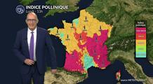 Pollens et allergies : douceur instable, cyprès toujours très présents dans l’air ce lundi 9 mars