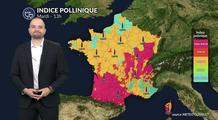 Pollens et allergies : accalmie relative grâce aux nuages et aux pluies