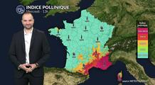 Pollens et allergies : accalmie relative grâce aux nuages et aux pluies