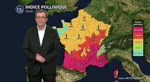 Pollens et allergies : fortes concentrations en pollens sur la partie sud du pays ce jeudi