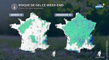 Risque de gel ce week-end : quelles régions concernées ?