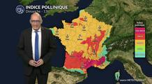 Pollens et allergies : froid matinal et vent au sud-est limitent la dispersion, mais plusieurs pollens d’arbres restent actifs