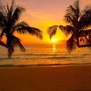 Leffrinckoucke 15/03/2026