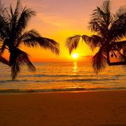 Leffrinckoucke 15/03/2026