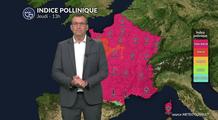 Pollens et allergies : un risque allergique très élevé sur la plus grande partie du pays