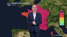 Pollens et allergies : bulletin pour vendredi 20 mars