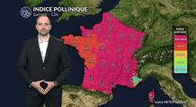 Pollens et allergies : bulletin pour samedi 21 mars