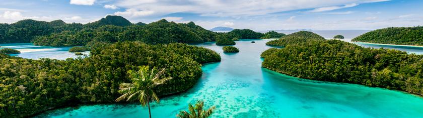 La Papouasie-Nouvelle-Guinée interdit la consommation de poisson après la mort de milliers d'animaux