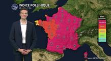 Pollens et allergies : un indice pollinique qui reste maximal dans de nombreuses régions ce mardi